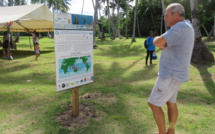 Moorea : une exposition pour mieux protéger les coraux