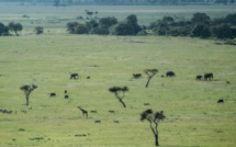 Kenya: recherches en cours pour localiser un avion accidenté avec 10 passagers