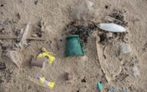 Le WWF mobilise pour sauver la Méditerranée du plastique