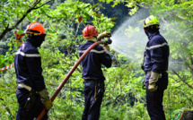 Lutte contre les feux de forêts : quinze pompiers en formation