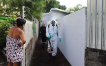 L'épidémie de dengue ne faiblit pas à La Réunion