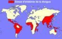 La dengue, une maladie virale en progression dans le monde