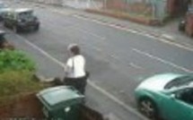 Une Britannique qui a jeté un chat à la poubelle dépassée par le scandale (video)