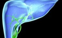 La bile, un espoir dans la lutte contre le vieillissement