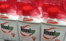 Monsanto sur le banc des accusés dans un procès visant le Roundup