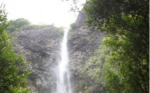 Une adolescente de 15 ans fait une chute mortelle à la Fautaua