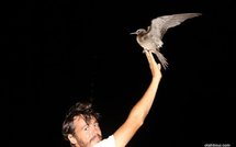 OTNF: Hiria et l'oiseau