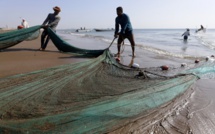 En mer d'Arabie, une inquiétante "zone morte" ne cesse de s'étendre