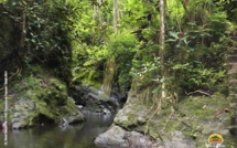 Réouverture de la Vallée de la Fautaua ce jeudi