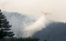 La vague de chaleur en Europe provoque sécheresse et incendies