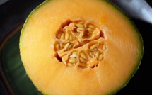 Listeria: rappel des surgelés de l'usine hongroise de Greenyard