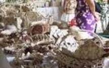 Présentation du 9ème salon des îles Australes