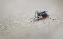 "L'épidémie de Zika n'est pas terminée", prévient un spécialiste brésilien