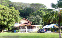 Raiatea : Une fillette décède après avoir été attaquée par un chien