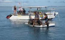 L'AS TAMARII HOPU NA RARO NO PUNAAUIA organise deux journées sur le lagon de Punaauia