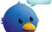 Japon: deux oisillons pour lire les gazouillis et cui-cui postés sur Twitter