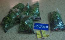 Le trafiquant sème ... la douane récolte
