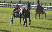 Hippodrome : les pronostics pour les quatre courses de ce dimanche