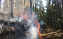 Incendie Vaipahi : "l'objectif est d'éviter que le feu parte dans une autre vallée" (Colonel Pierre Masson)