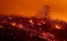La Californie ravagée par un nouvel incendie record