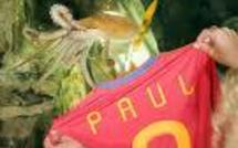 Allemagne: décès de Paul le poulpe devin, star planétaire du football