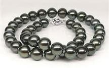 Perliculture : bilan satisfaisant des deux dernières ventes aux enchères