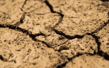 L'Afghanistan frappé par la pire sécheresse depuis des décennies