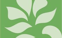 Teva Rohfritsch : « Aucun changement dans le capital de la Banque SOCREDO»