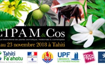 Le prochain Cipam aura lieu à Tahiti