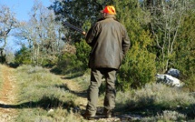 Chasse nocturne au sanglier: un chasseur tué par un de ses collègues