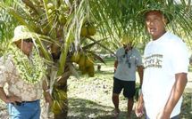 Une nouvelle entreprise à Tahaa