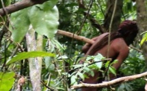 Un drone filme des images inédites d'un peuple isolé d'Amazonie