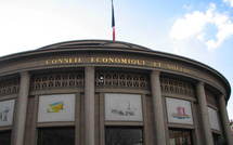 Patrick Galenon fait son entrée au CESE, Delevoye en prend la présidence.