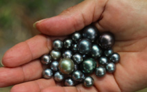 Carnet de voyage: Manihi, ou le temple (oublié) de la perle