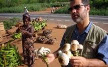 Nouvelle conférence au Criobe mercredi