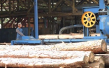 Une étude pour un prototype de fare en bois local 