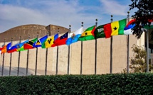 Coup d'envoi à l'ONU de négociations sur un traité protégeant la haute mer