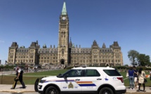 Canada: un ours sème la pagaille dans le centre d'Ottawa