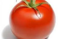 Le pigment rouge de la tomate aide à prévenir le diabète lié à l'obésité