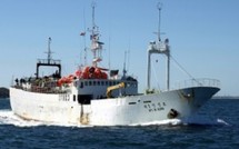 Naufrage d’un chalutier coréen au large de la Nouvelle-Zélande : peu d’espoir de retrouver des survivants