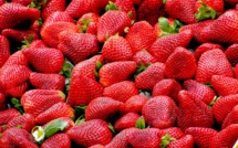 Australie: des aiguilles dans les fraises, récompense pour aider à résoudre le mystère