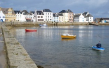 Le rat de Sein bientôt éradiqué de la petite île bretonne
