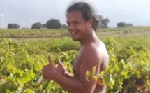 Les photos de Teauahi Roura en pleine vendange font le buzz
