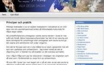 "Jolies Russes cherchent l'amour": le blog d'un ministre suédois piraté