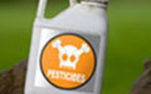 Présence de chlordécone en Polynésie française