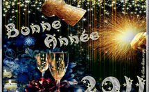 Bonne Année 2011! I a orana i te matahiti 'api 2011... 
