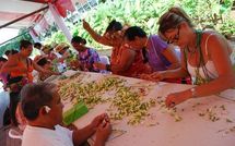 Le record du plus long collier de fleurs homologué par le Guinness World Records