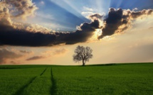 L'idylle de 1.000 entrepreneurs chinois dans la campagne allemande