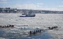 En Allemagne, 1.700 nageurs dans le Danube à 2,5°C pour une course-carnaval