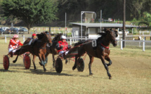 Dix chevaux au départ de la course de trot